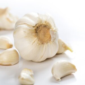 Garlic