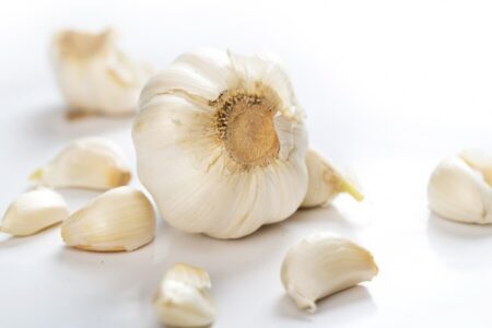 Garlic