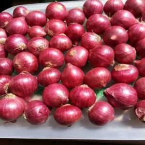 Bellary onion