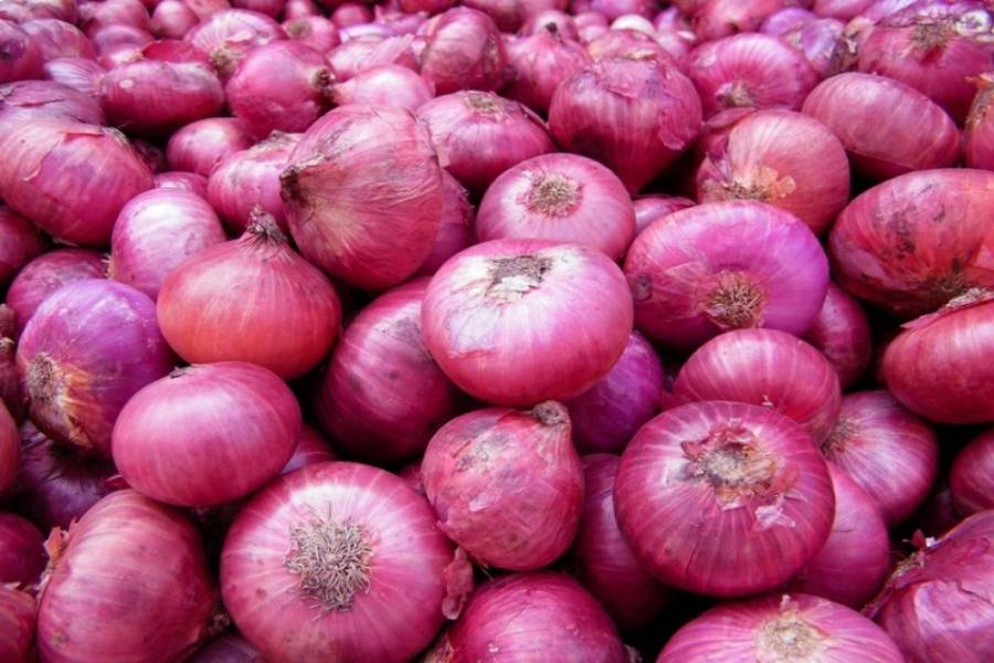 Naashik Onion